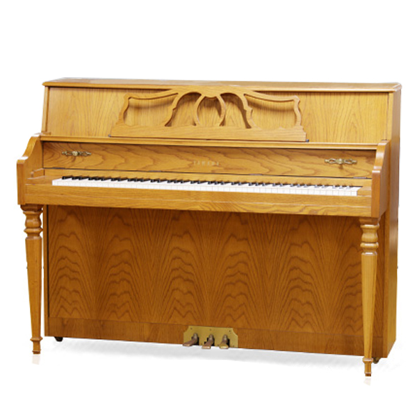 Music City – Tổng Kho Piano, Guitar, Organ | Dịch Vụ Giáo Dục Âm Nhạc