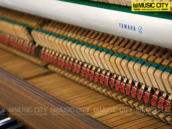 Music City – Tổng Kho Piano, Guitar, Organ | Dịch Vụ Giáo Dục Âm Nhạc