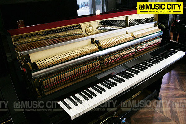 Music City – Tổng Kho Piano, Guitar, Organ | Dịch Vụ Giáo Dục Âm Nhạc