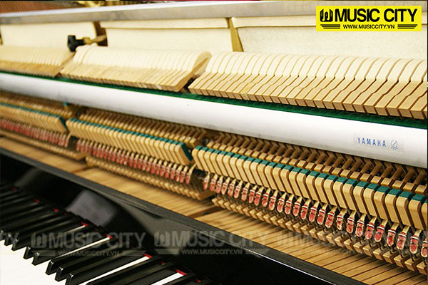 Music City – Tổng Kho Piano, Guitar, Organ | Dịch Vụ Giáo Dục Âm Nhạc