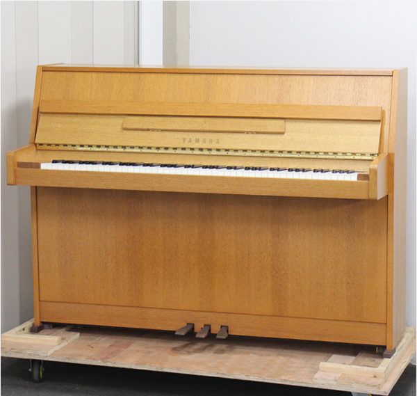 Music City – Tổng Kho Piano, Guitar, Organ | Dịch Vụ Giáo Dục Âm Nhạc
