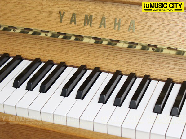 Music City – Tổng Kho Piano, Guitar, Organ | Dịch Vụ Giáo Dục Âm Nhạc