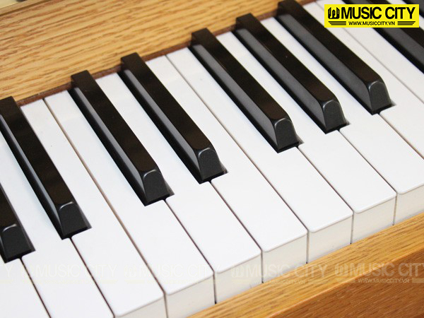 Music City – Tổng Kho Piano, Guitar, Organ | Dịch Vụ Giáo Dục Âm Nhạc