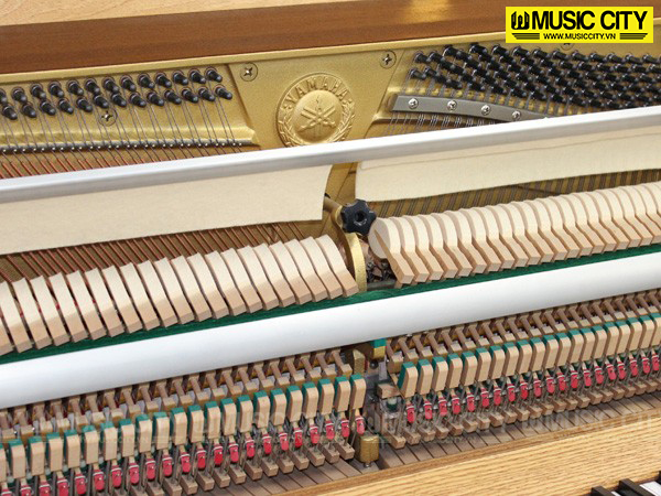 Music City – Tổng Kho Piano, Guitar, Organ | Dịch Vụ Giáo Dục Âm Nhạc