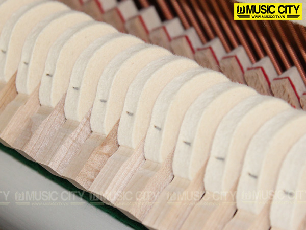 Music City – Tổng Kho Piano, Guitar, Organ | Dịch Vụ Giáo Dục Âm Nhạc
