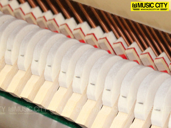 Music City – Tổng Kho Piano, Guitar, Organ | Dịch Vụ Giáo Dục Âm Nhạc