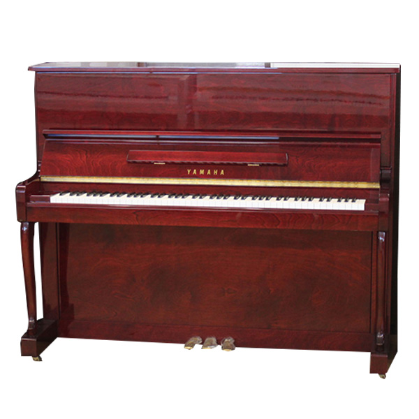 Music City – Tổng Kho Piano, Guitar, Organ | Dịch Vụ Giáo Dục Âm Nhạc
