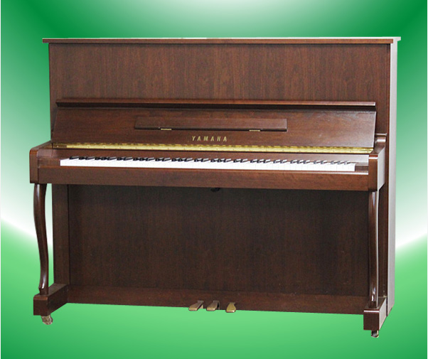 Music City – Tổng Kho Piano, Guitar, Organ | Dịch Vụ Giáo Dục Âm Nhạc