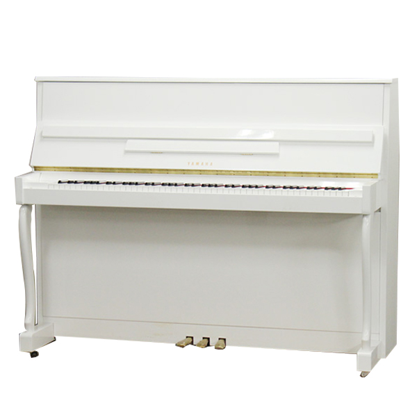 Music City – Tổng Kho Piano, Guitar, Organ | Dịch Vụ Giáo Dục Âm Nhạc
