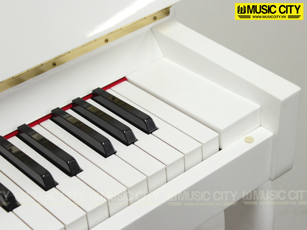 Music City – Tổng Kho Piano, Guitar, Organ | Dịch Vụ Giáo Dục Âm Nhạc