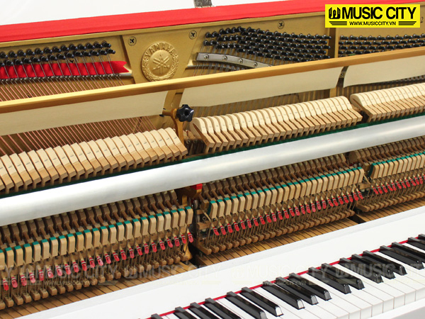Music City – Tổng Kho Piano, Guitar, Organ | Dịch Vụ Giáo Dục Âm Nhạc