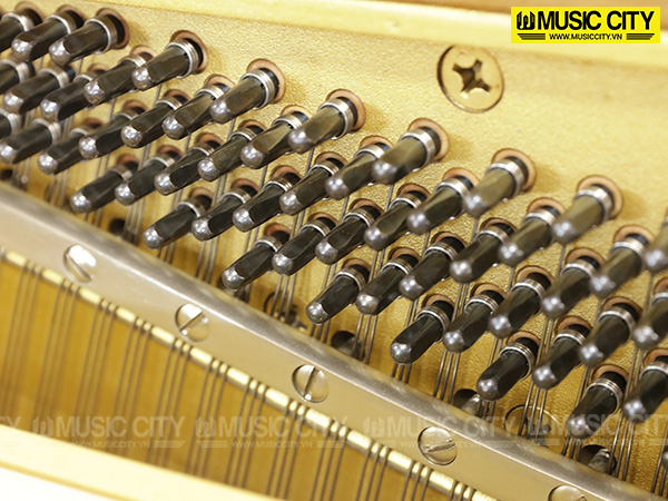 Music City – Tổng Kho Piano, Guitar, Organ | Dịch Vụ Giáo Dục Âm Nhạc