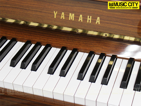 Music City – Tổng Kho Piano, Guitar, Organ | Dịch Vụ Giáo Dục Âm Nhạc