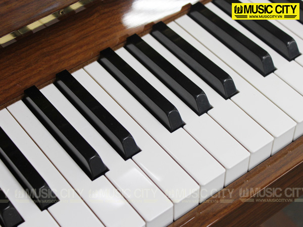 Music City – Tổng Kho Piano, Guitar, Organ | Dịch Vụ Giáo Dục Âm Nhạc
