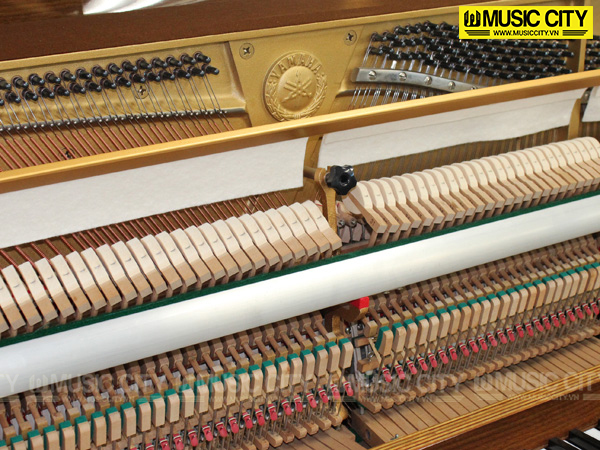 Music City – Tổng Kho Piano, Guitar, Organ | Dịch Vụ Giáo Dục Âm Nhạc
