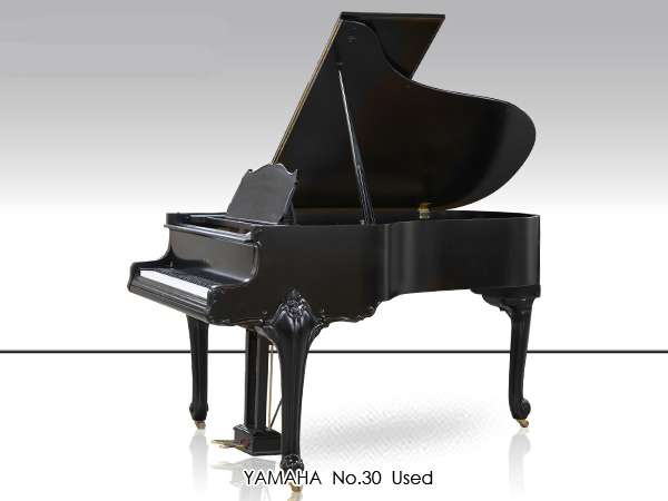 Music City – Tổng Kho Piano, Guitar, Organ | Dịch Vụ Giáo Dục Âm Nhạc