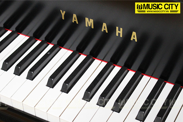 Music City – Tổng Kho Piano, Guitar, Organ | Dịch Vụ Giáo Dục Âm Nhạc
