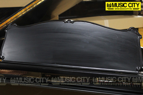 Music City – Tổng Kho Piano, Guitar, Organ | Dịch Vụ Giáo Dục Âm Nhạc
