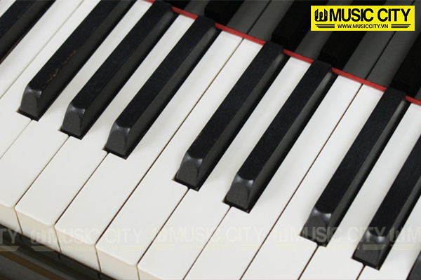 Music City – Tổng Kho Piano, Guitar, Organ | Dịch Vụ Giáo Dục Âm Nhạc