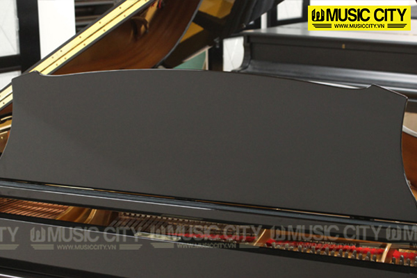 Music City – Tổng Kho Piano, Guitar, Organ | Dịch Vụ Giáo Dục Âm Nhạc