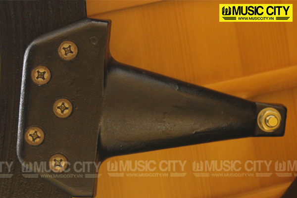 Music City – Tổng Kho Piano, Guitar, Organ | Dịch Vụ Giáo Dục Âm Nhạc