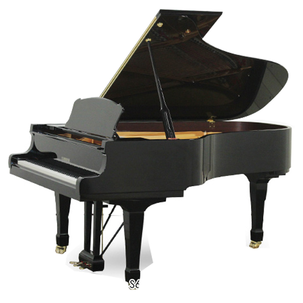 Music City – Tổng Kho Piano, Guitar, Organ | Dịch Vụ Giáo Dục Âm Nhạc