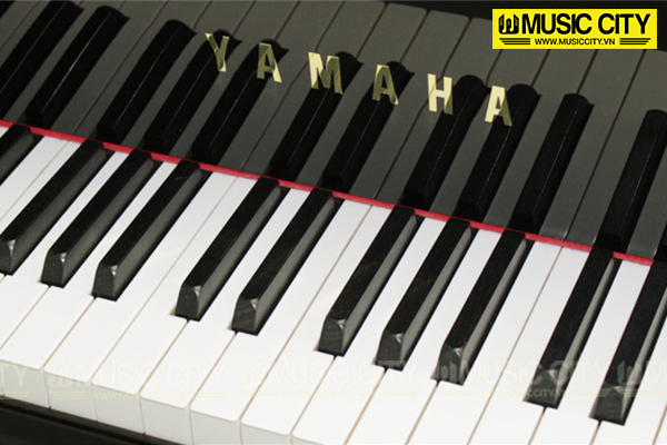 Music City – Tổng Kho Piano, Guitar, Organ | Dịch Vụ Giáo Dục Âm Nhạc