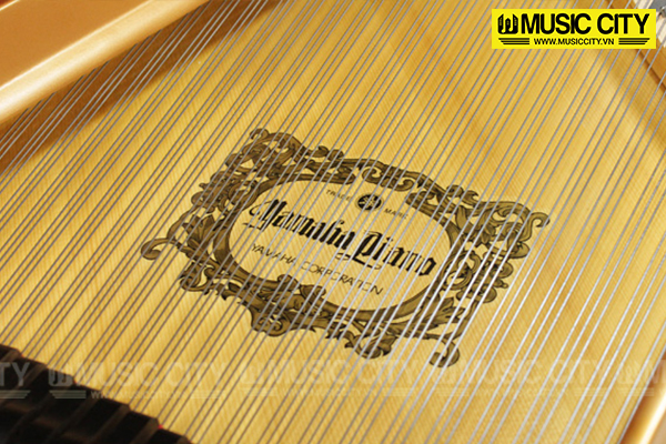Music City – Tổng Kho Piano, Guitar, Organ | Dịch Vụ Giáo Dục Âm Nhạc