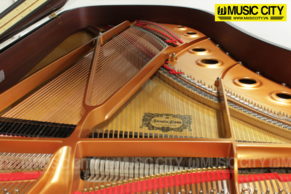Music City – Tổng Kho Piano, Guitar, Organ | Dịch Vụ Giáo Dục Âm Nhạc