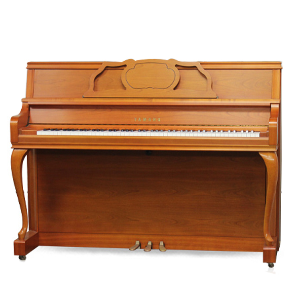 Music City – Tổng Kho Piano, Guitar, Organ | Dịch Vụ Giáo Dục Âm Nhạc