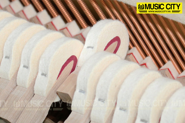 Music City – Tổng Kho Piano, Guitar, Organ | Dịch Vụ Giáo Dục Âm Nhạc