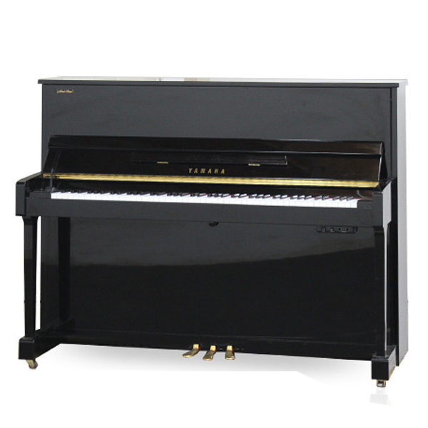 Music City – Tổng Kho Piano, Guitar, Organ | Dịch Vụ Giáo Dục Âm Nhạc