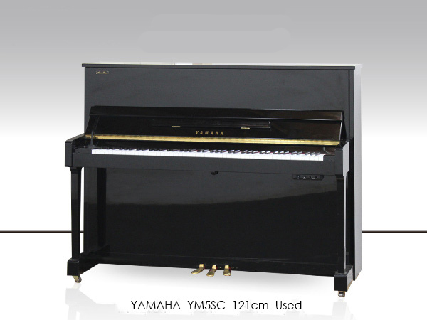 Music City – Tổng Kho Piano, Guitar, Organ | Dịch Vụ Giáo Dục Âm Nhạc