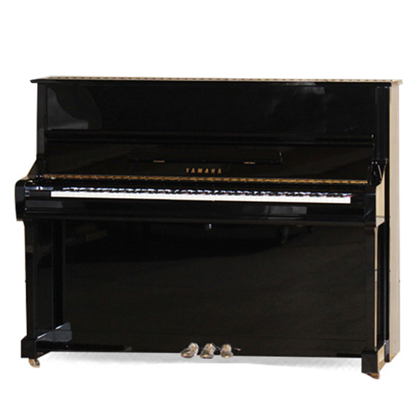 Music City – Tổng Kho Piano, Guitar, Organ | Dịch Vụ Giáo Dục Âm Nhạc