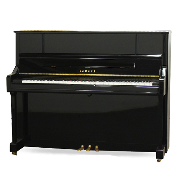 Music City – Tổng Kho Piano, Guitar, Organ | Dịch Vụ Giáo Dục Âm Nhạc