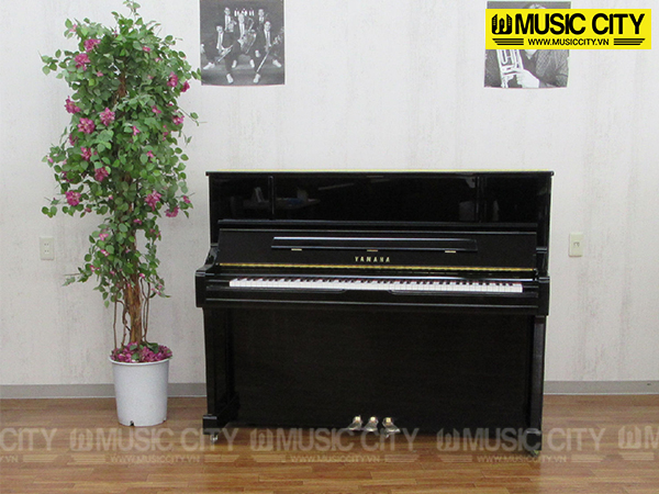 Music City – Tổng Kho Piano, Guitar, Organ | Dịch Vụ Giáo Dục Âm Nhạc