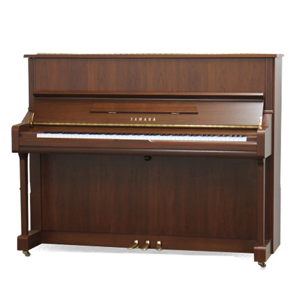 Music City – Tổng Kho Piano, Guitar, Organ | Dịch Vụ Giáo Dục Âm Nhạc