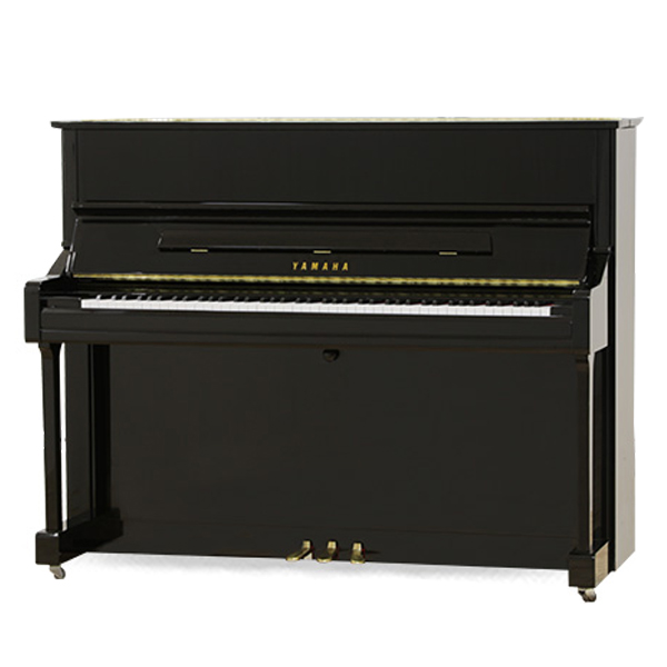 Music City – Tổng Kho Piano, Guitar, Organ | Dịch Vụ Giáo Dục Âm Nhạc