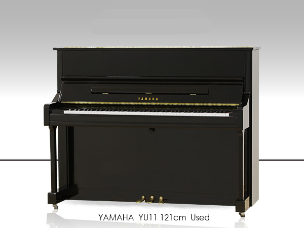Music City – Tổng Kho Piano, Guitar, Organ | Dịch Vụ Giáo Dục Âm Nhạc