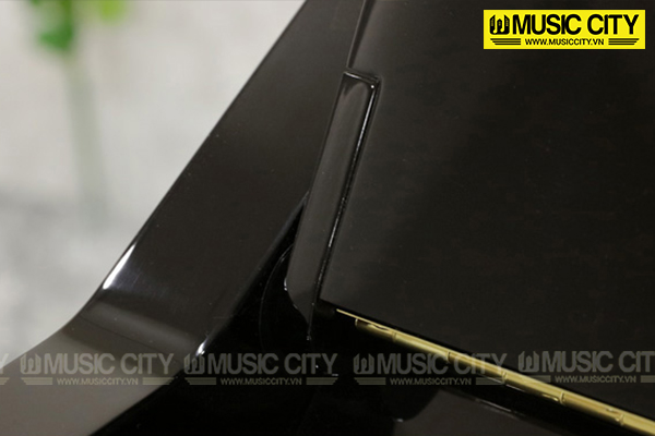 Music City – Tổng Kho Piano, Guitar, Organ | Dịch Vụ Giáo Dục Âm Nhạc