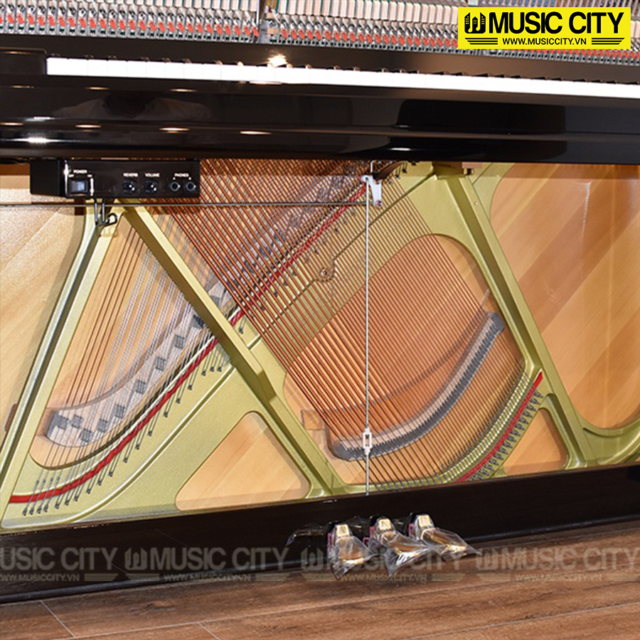 Music City – Tổng Kho Piano, Guitar, Organ | Dịch Vụ Giáo Dục Âm Nhạc