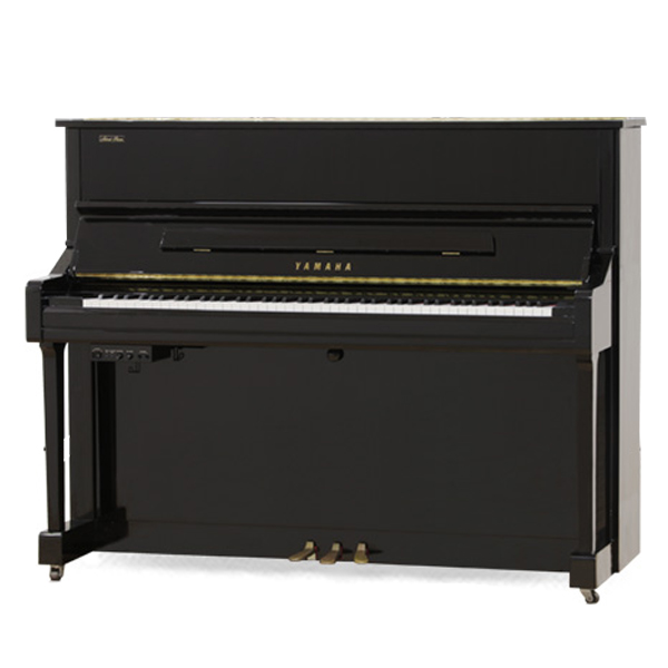 Music City – Tổng Kho Piano, Guitar, Organ | Dịch Vụ Giáo Dục Âm Nhạc