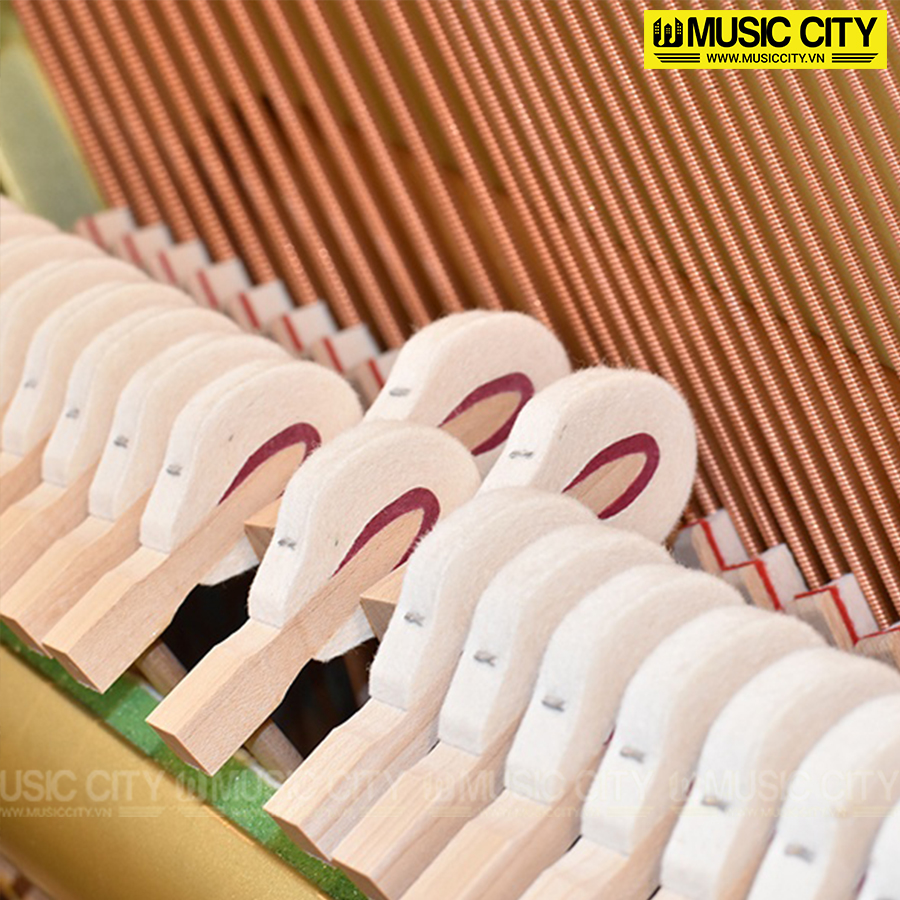 Music City – Tổng Kho Piano, Guitar, Organ | Dịch Vụ Giáo Dục Âm Nhạc