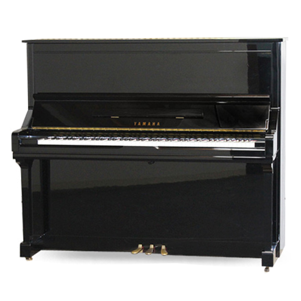 Music City – Tổng Kho Piano, Guitar, Organ | Dịch Vụ Giáo Dục Âm Nhạc