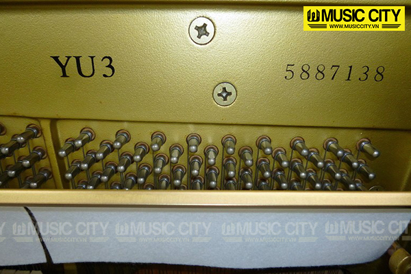 Music City – Tổng Kho Piano, Guitar, Organ | Dịch Vụ Giáo Dục Âm Nhạc