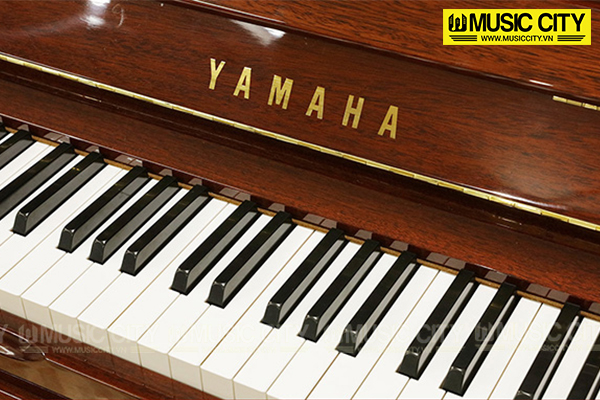 Music City – Tổng Kho Piano, Guitar, Organ | Dịch Vụ Giáo Dục Âm Nhạc
