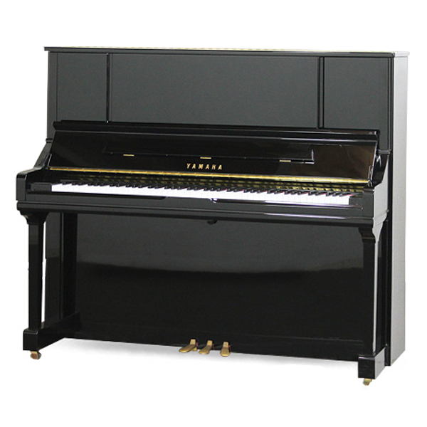 Music City – Tổng Kho Piano, Guitar, Organ | Dịch Vụ Giáo Dục Âm Nhạc