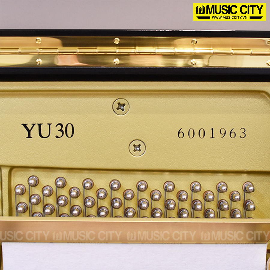 Music City – Tổng Kho Piano, Guitar, Organ | Dịch Vụ Giáo Dục Âm Nhạc