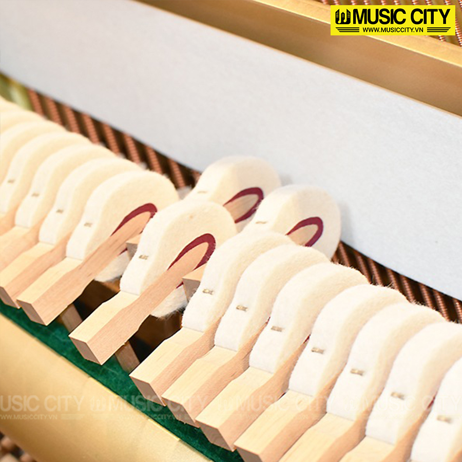 Music City – Tổng Kho Piano, Guitar, Organ | Dịch Vụ Giáo Dục Âm Nhạc