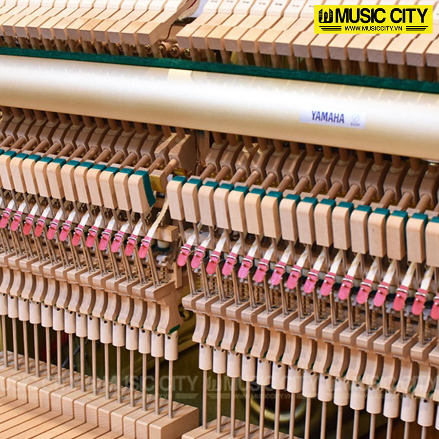 Music City – Tổng Kho Piano, Guitar, Organ | Dịch Vụ Giáo Dục Âm Nhạc